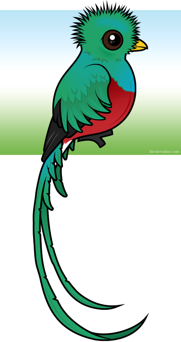 Cute Resplendent Quetzal by Birdorable  Meet the Birds