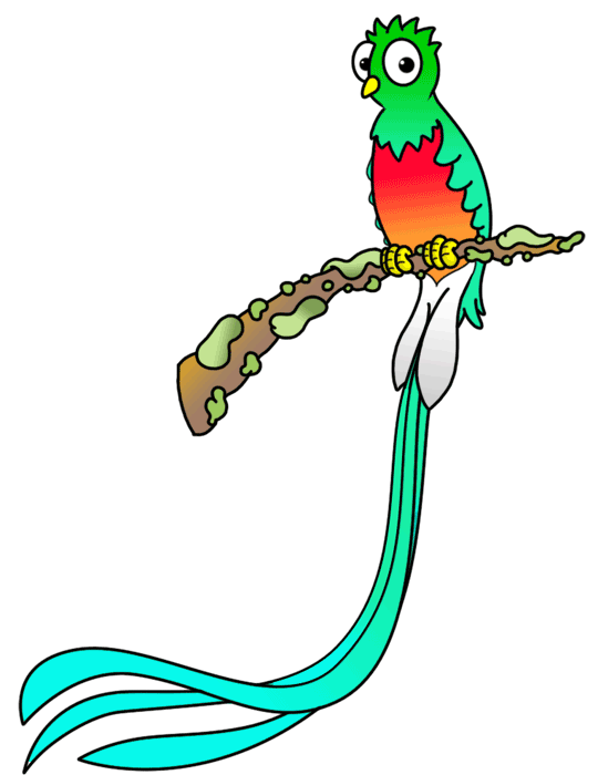 How to Draw a Quetzal Bird