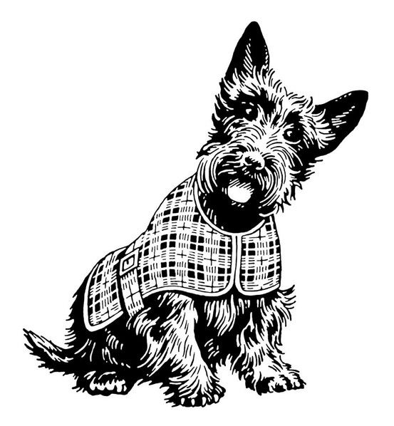 Scottie Dogs: Clip Art. Graphics, Line Drawings