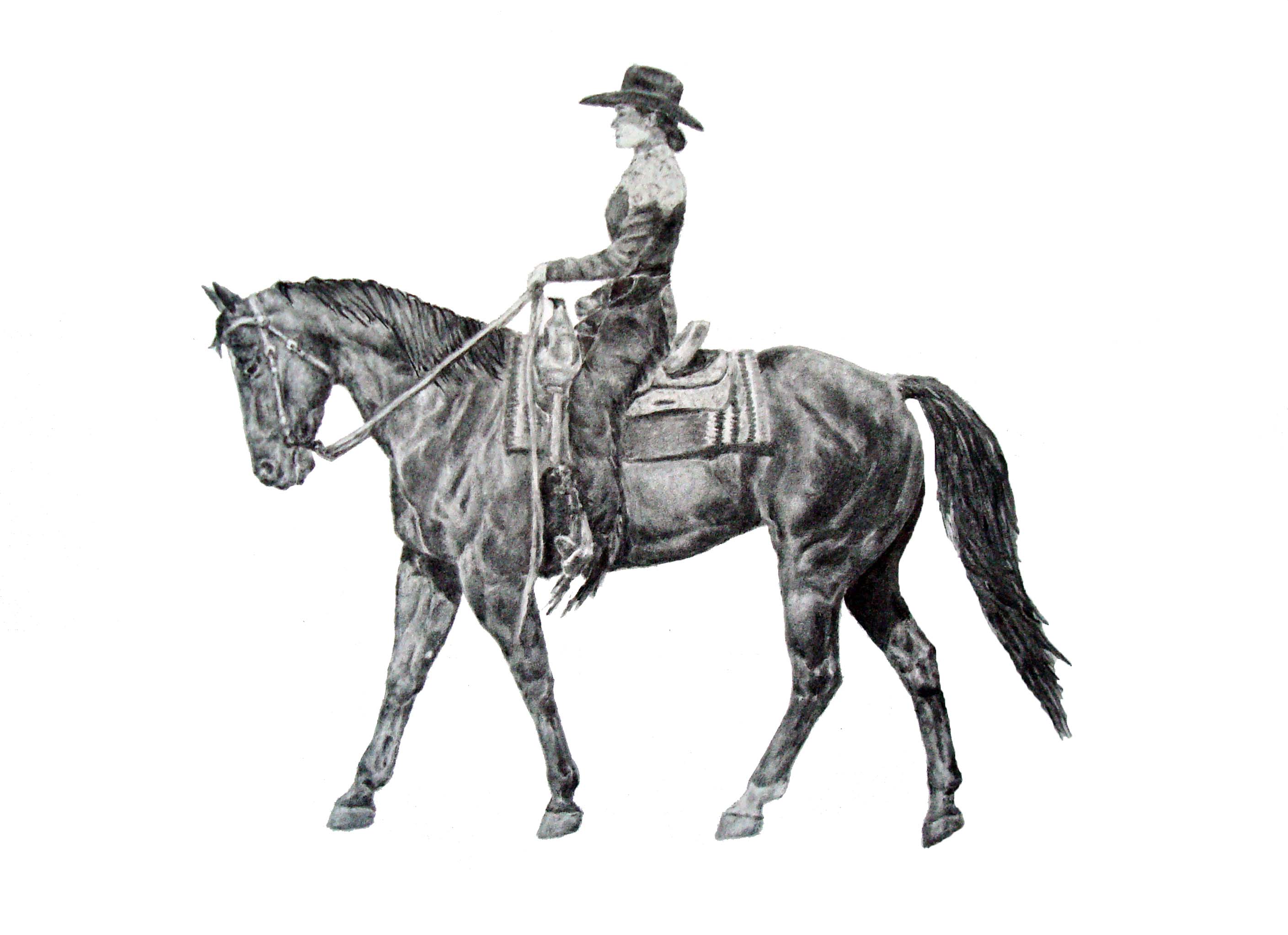 Western Pleasure Horse Clipart
