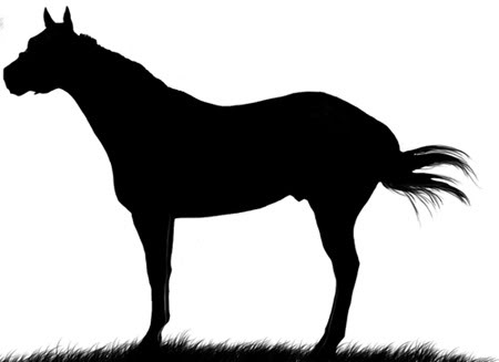 Quarter horse silhouette clipart