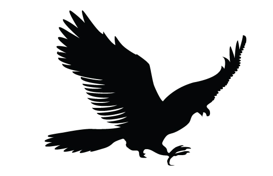 Eagles, Silhouette and Clip art