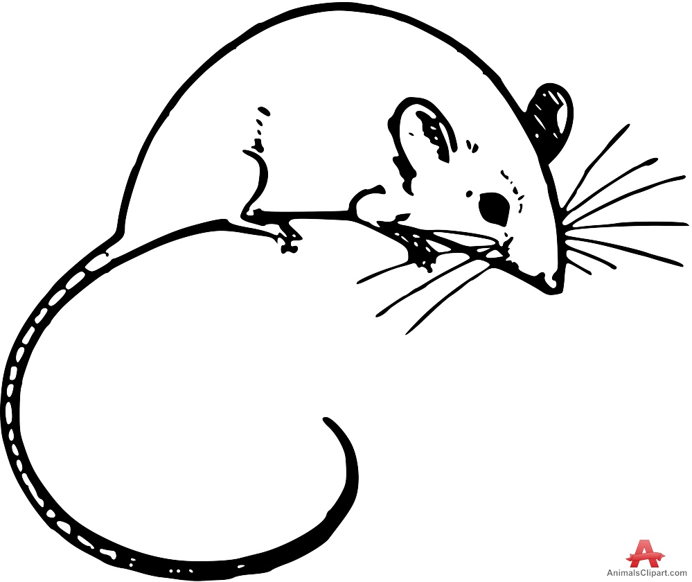 Free Mouse Outline Cliparts Download Free Clip Art Free