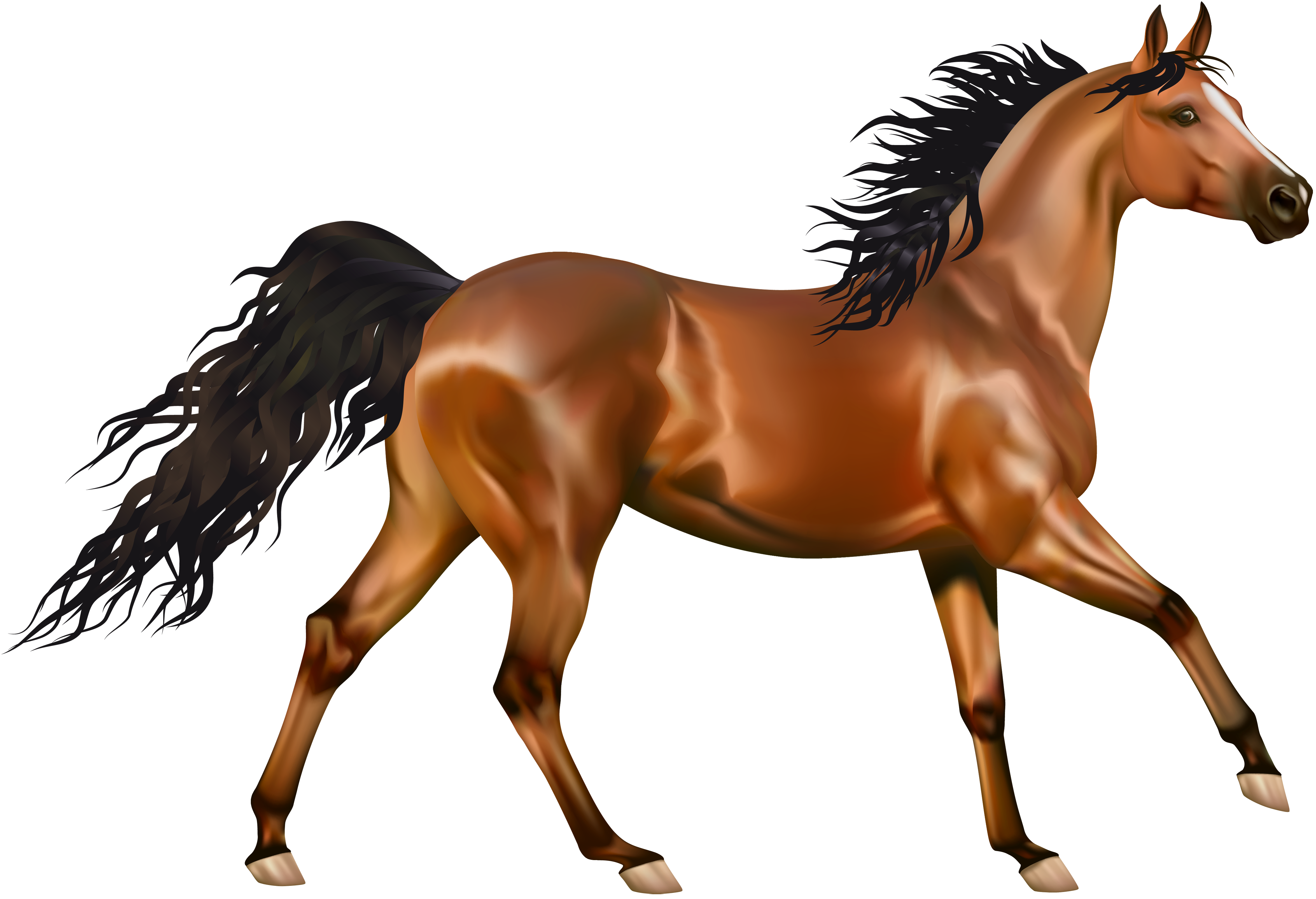 horse clipart png - Clip Art Library