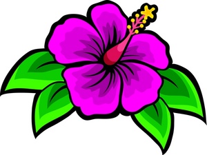 Hawaiian Cartoon Flowers