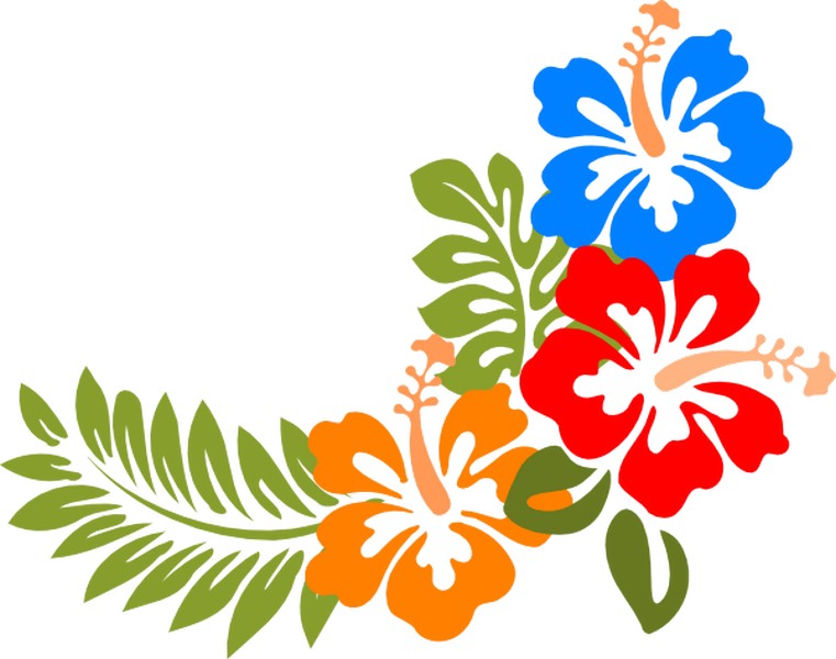 Hawaii Flowers Cartoon