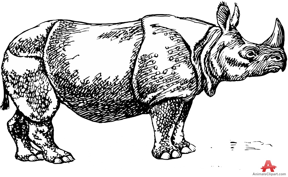 Rhinoceros Clipart Drawing