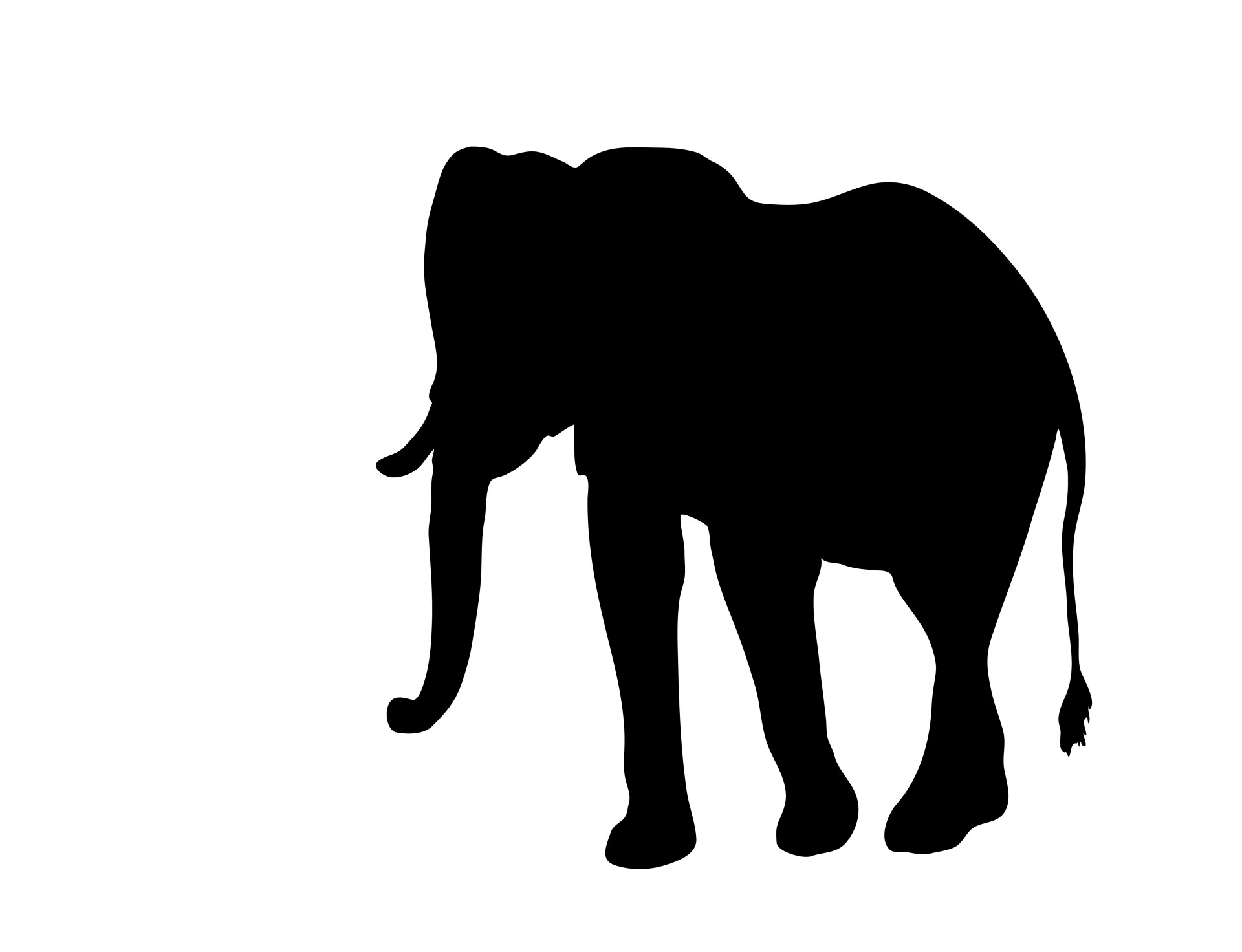 Elephant Clipart Silhouette Free Stock Photo