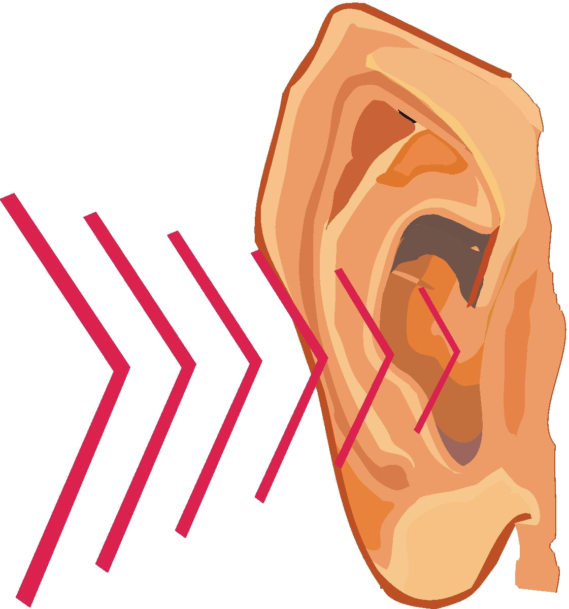 Cliparts Hearing Sound Free Download Clip Art Free Clip Art On