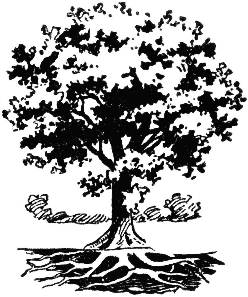 Tree With Roots Clipart