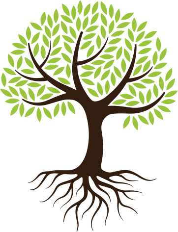 tree with roots clipart png - Clip Art Library