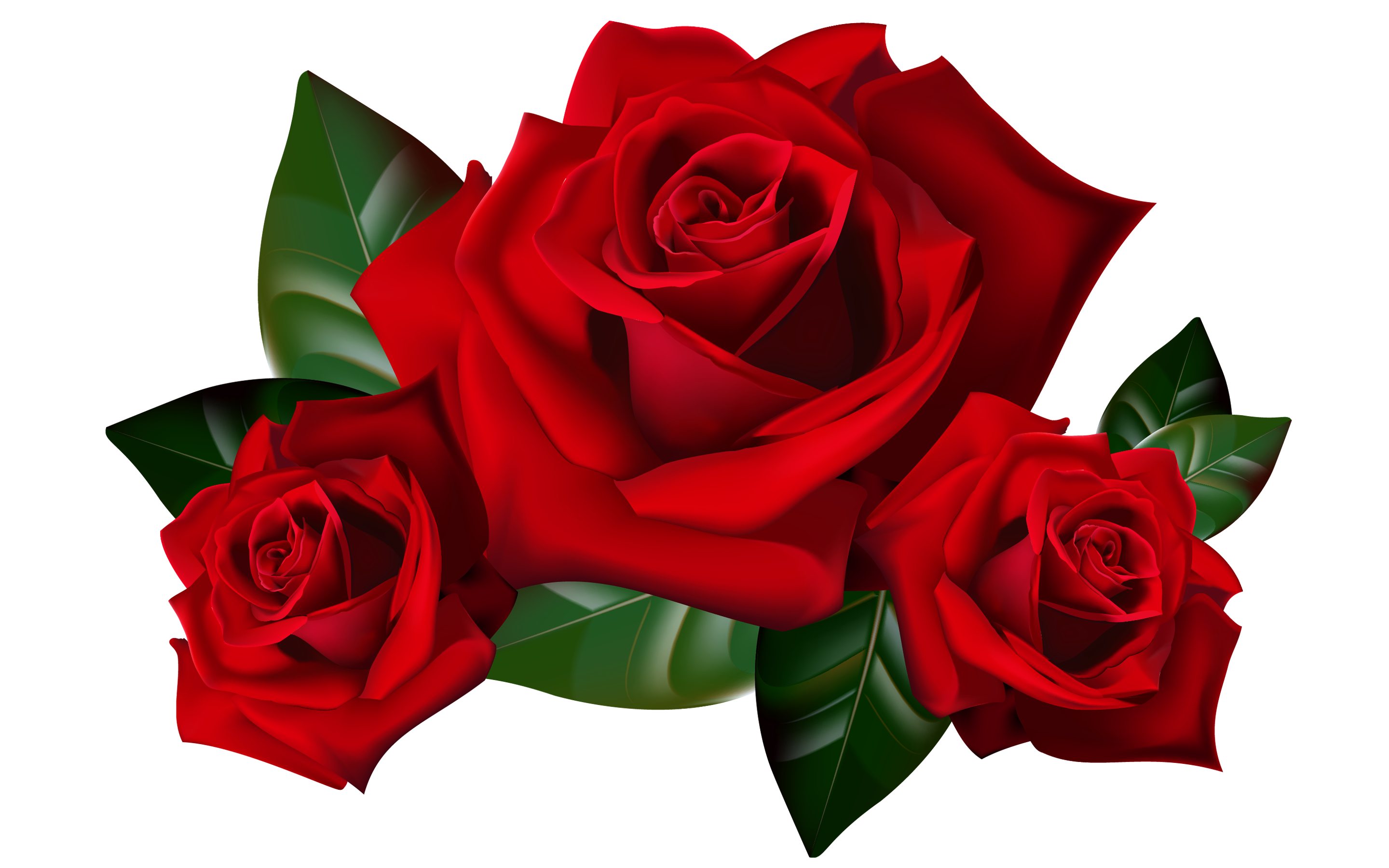 Red Rose Clipart Clip Art Library
