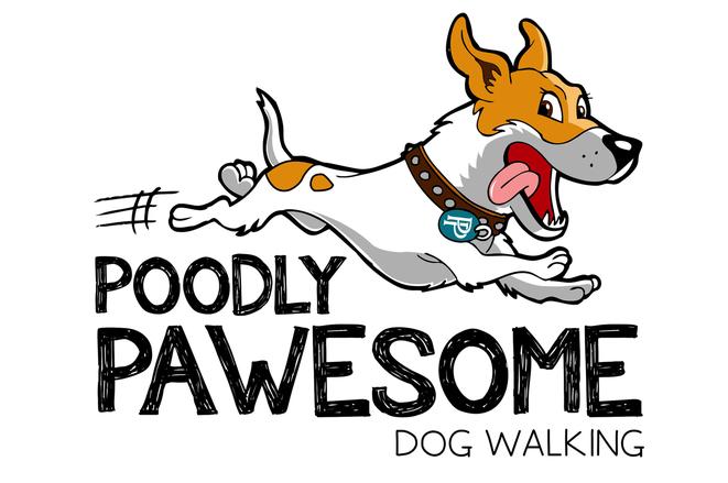 Poodly Pawesome Dog Walking Chicago : Contact