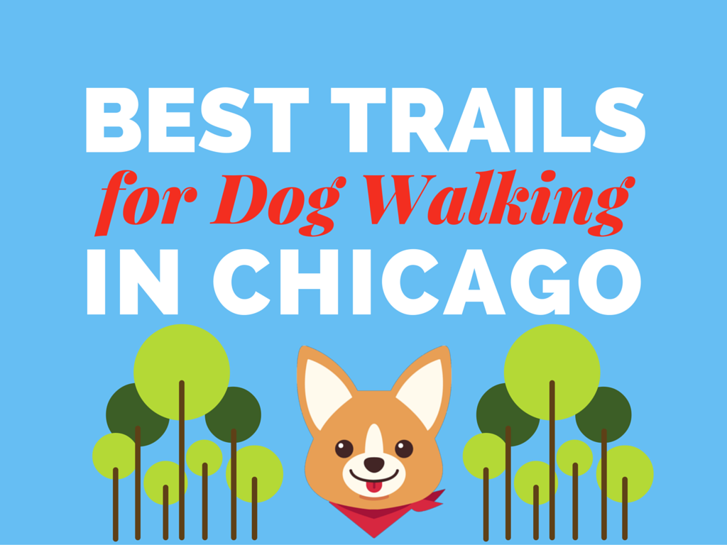 Best Trails for Dog Walking in Chicago