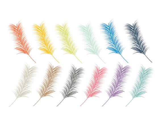 Items similar to 60% OFF SALE Bird Feathers Clipart Bird Clipart