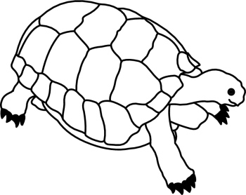 Tribal Turtle Clipart Black And White
