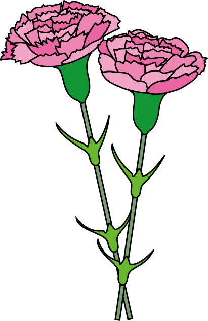 Pink Carnation Clipart