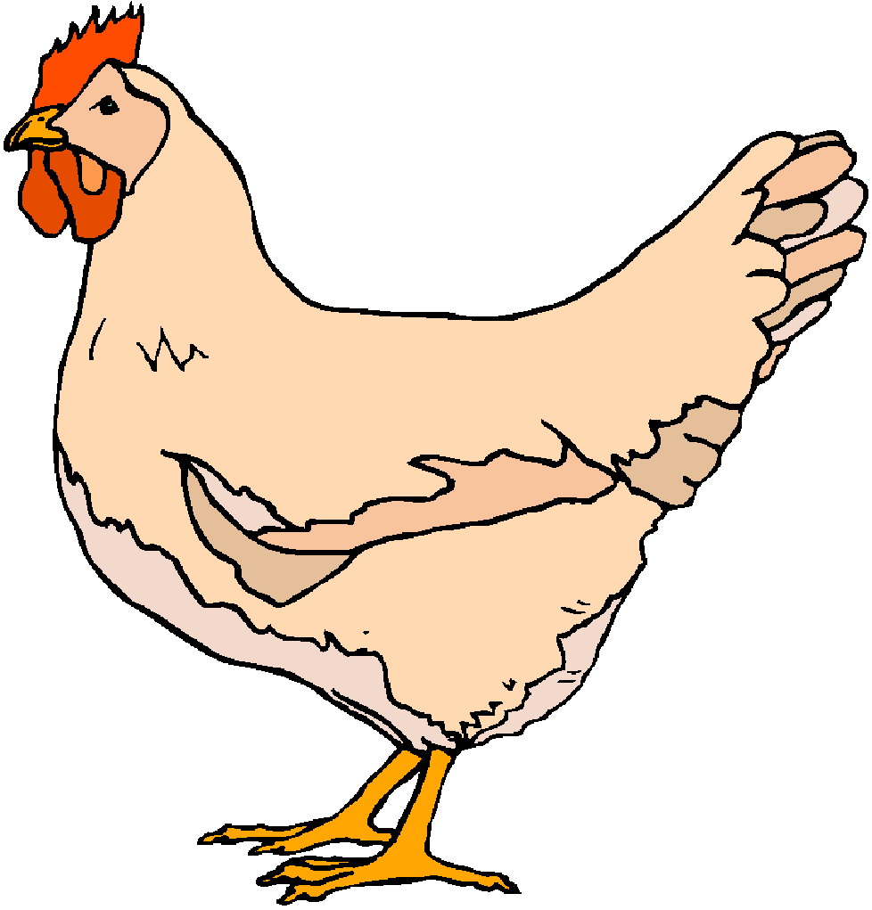 Chicken Vector Art