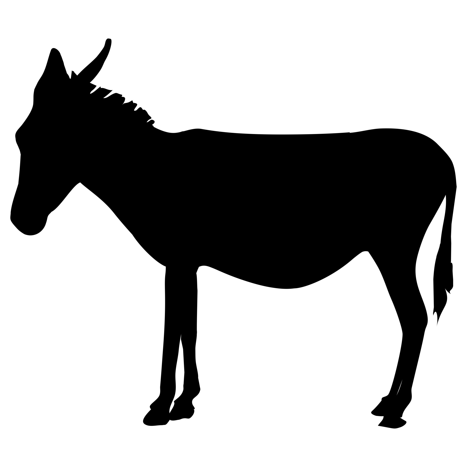 Donkey Free Stock Photo