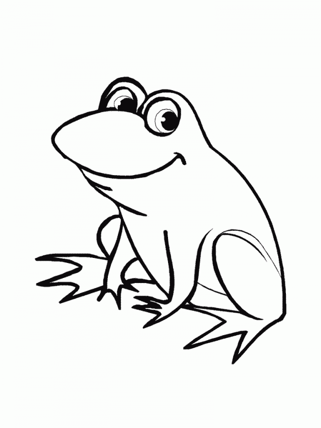 Frog black and white photos of frog line drawing cute clip art