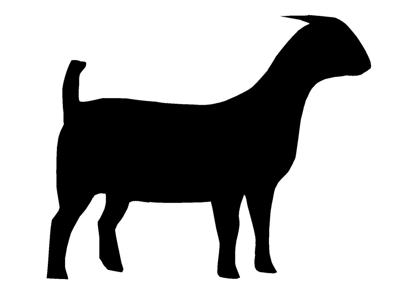 Sheep goat clipart black and white