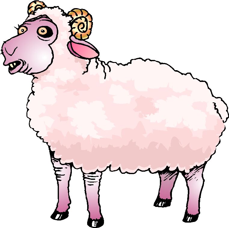 Market lamb clip art free image