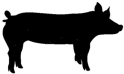 Hampshire pig clipart