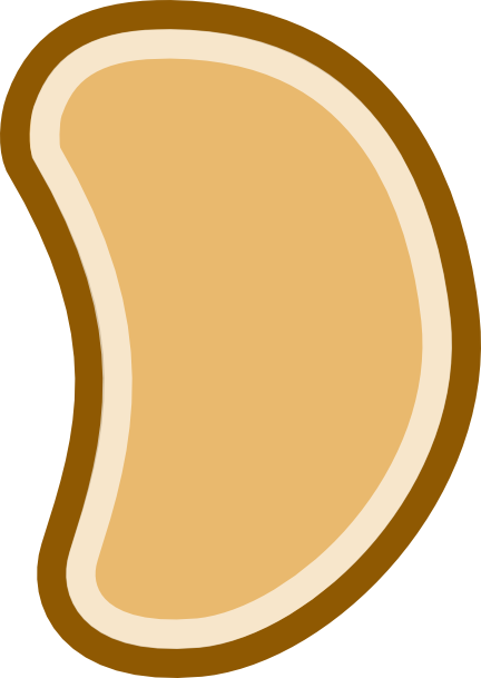 Bean Seed Clipart