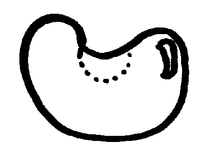Seed Clipart