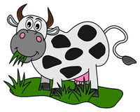 Cow eating grass clipart