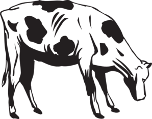 Cow eating clipart