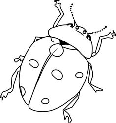 Cute insect clipart black and white