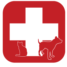 Veterinary Medical Clipart