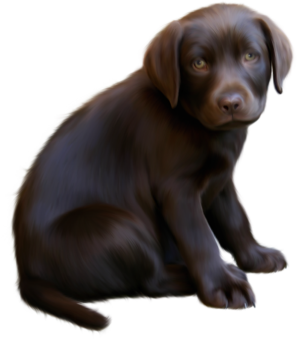 Free Brown Dog Cliparts, Download Free Brown Dog Cliparts png images