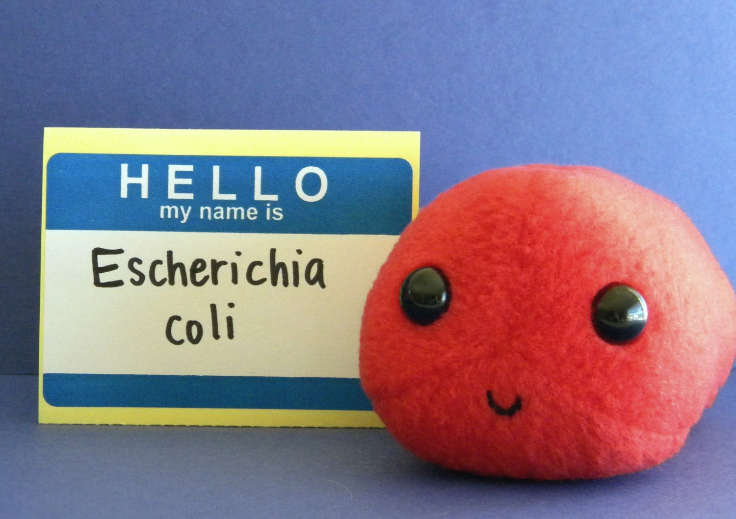 Hello My Name Is Escherichia Coli Clip Art Library
