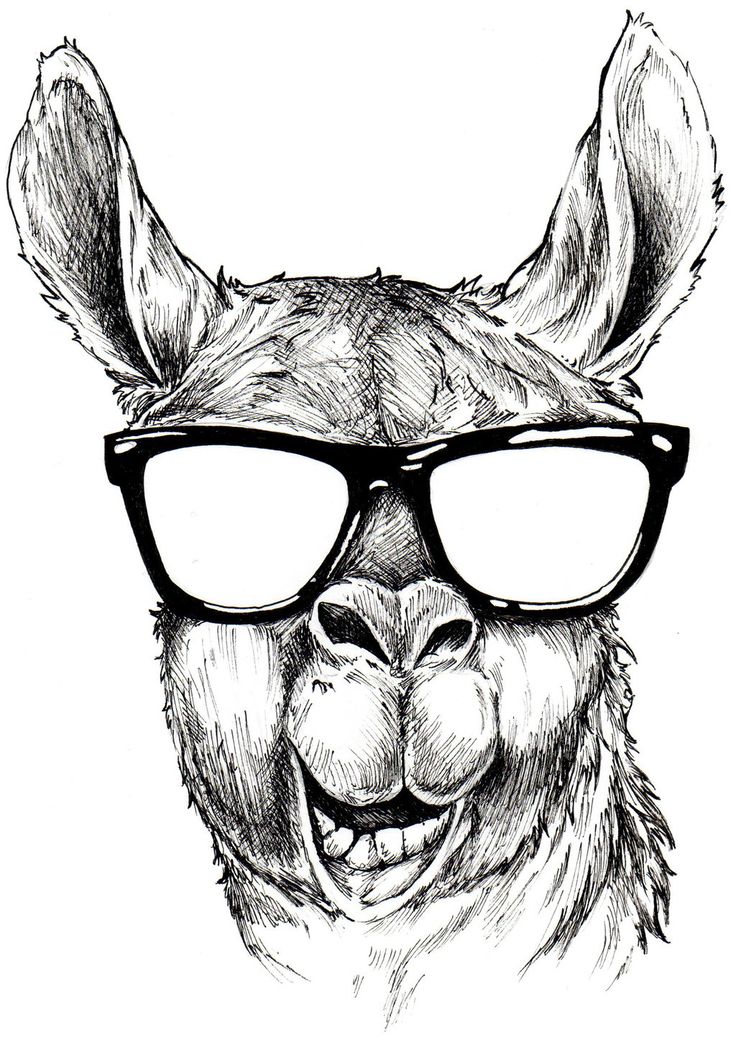 �ber 1.000 Ideen zu �Cartoon Llama auf Pinterest�