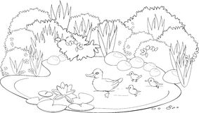 Water Pond Clipart Black And White