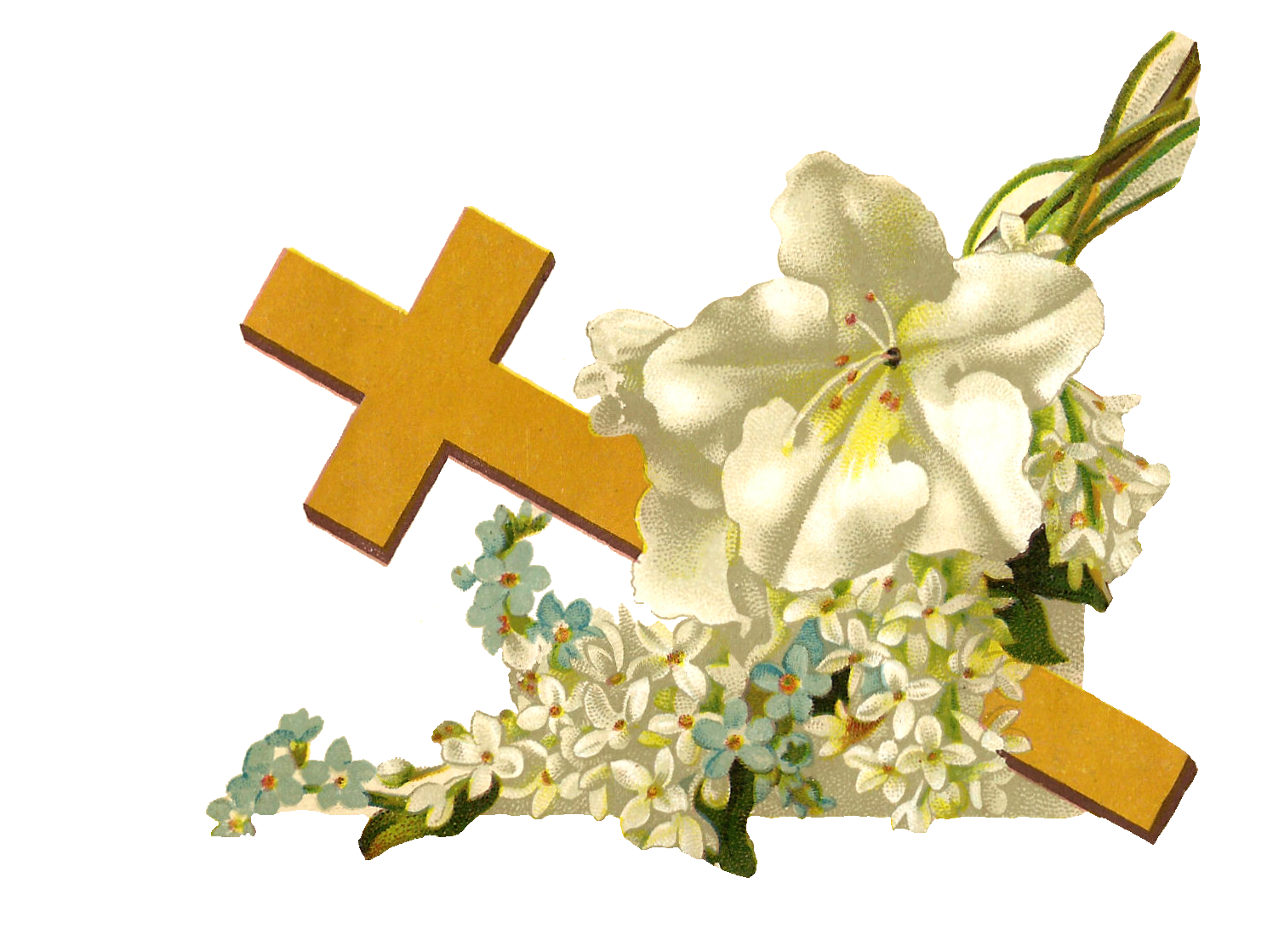Free Catholic Flower Cliparts Download Free Catholic Flower Cliparts