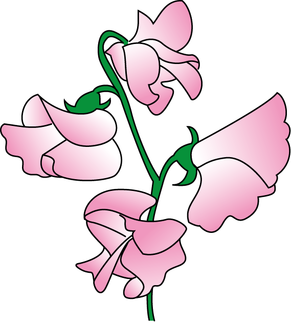 Free Pea Vine Cliparts, Download Free Pea Vine Cliparts png images