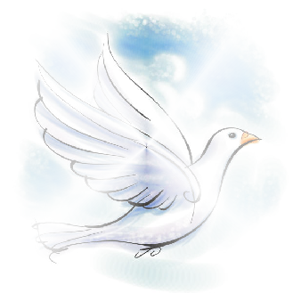 Funeral Doves Of Peace