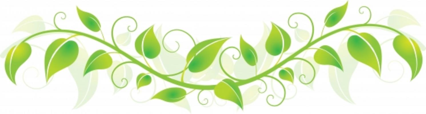 Free Green Vine Cliparts Download Free Green Vine Cliparts Png Images Free Cliparts On Clipart