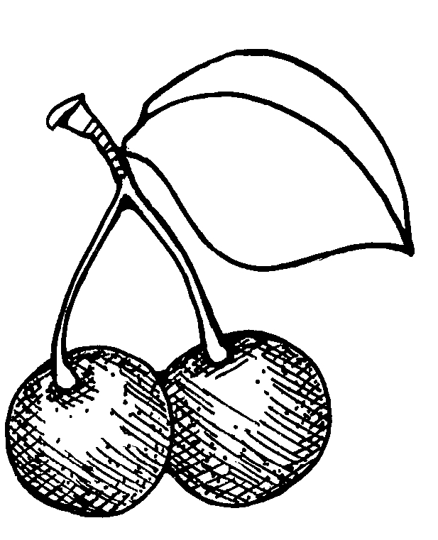 Cherry Clipart Black And White