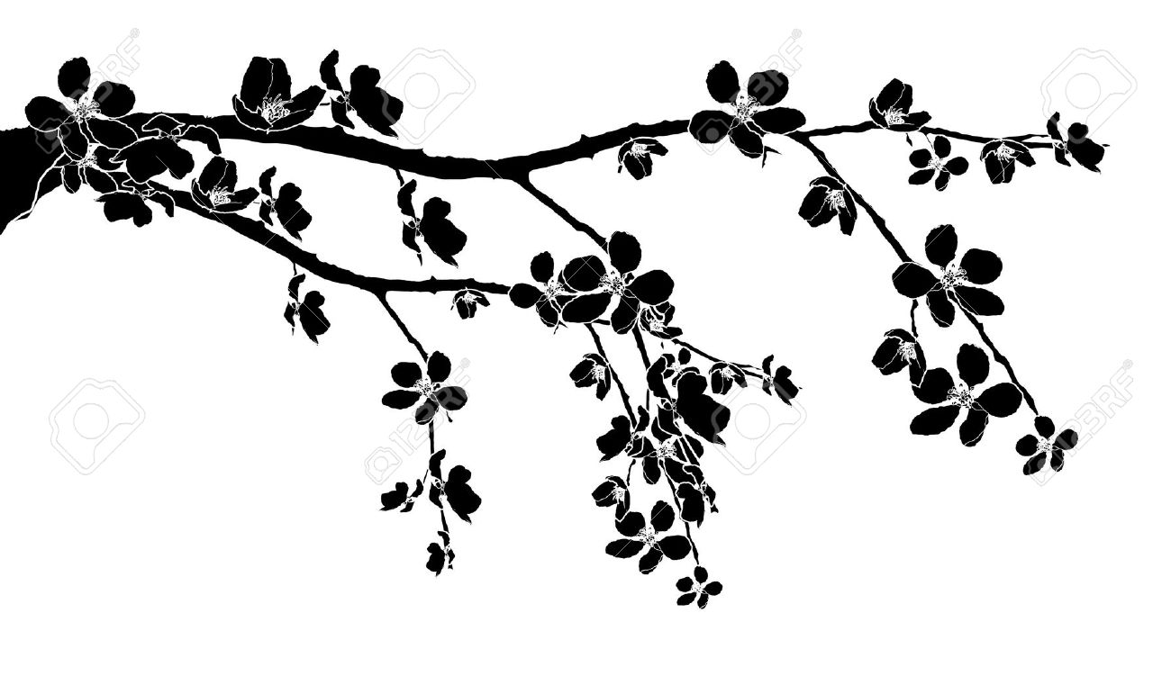 Cherry blossom clipart black and white