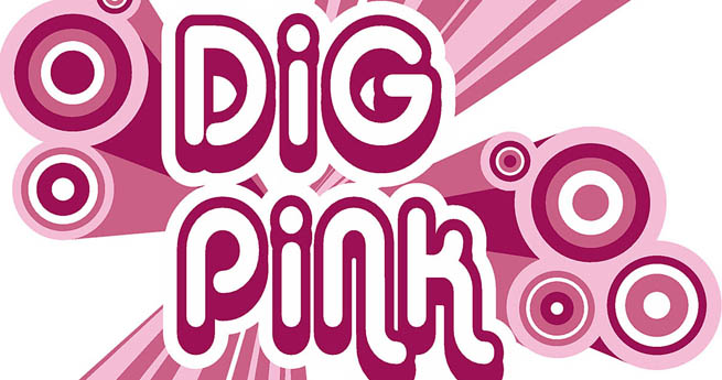 Lyon volleyball team hosts Dig Pink event Friday