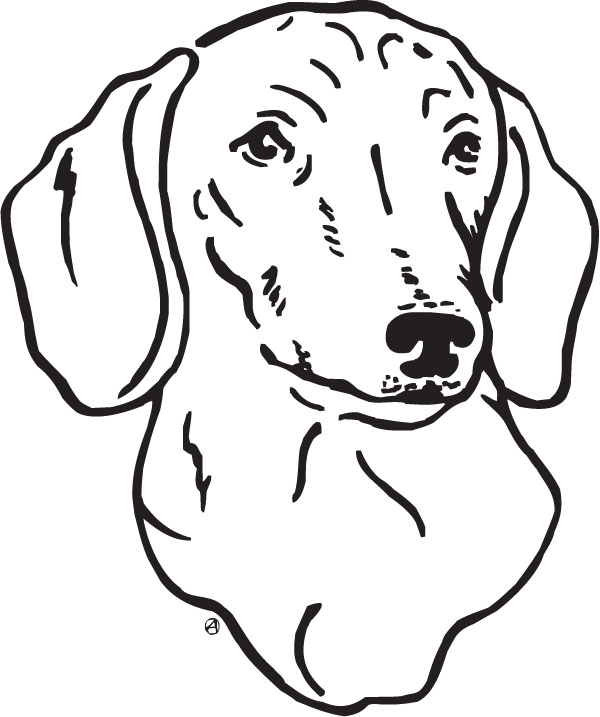 Free dog face clipart black and white