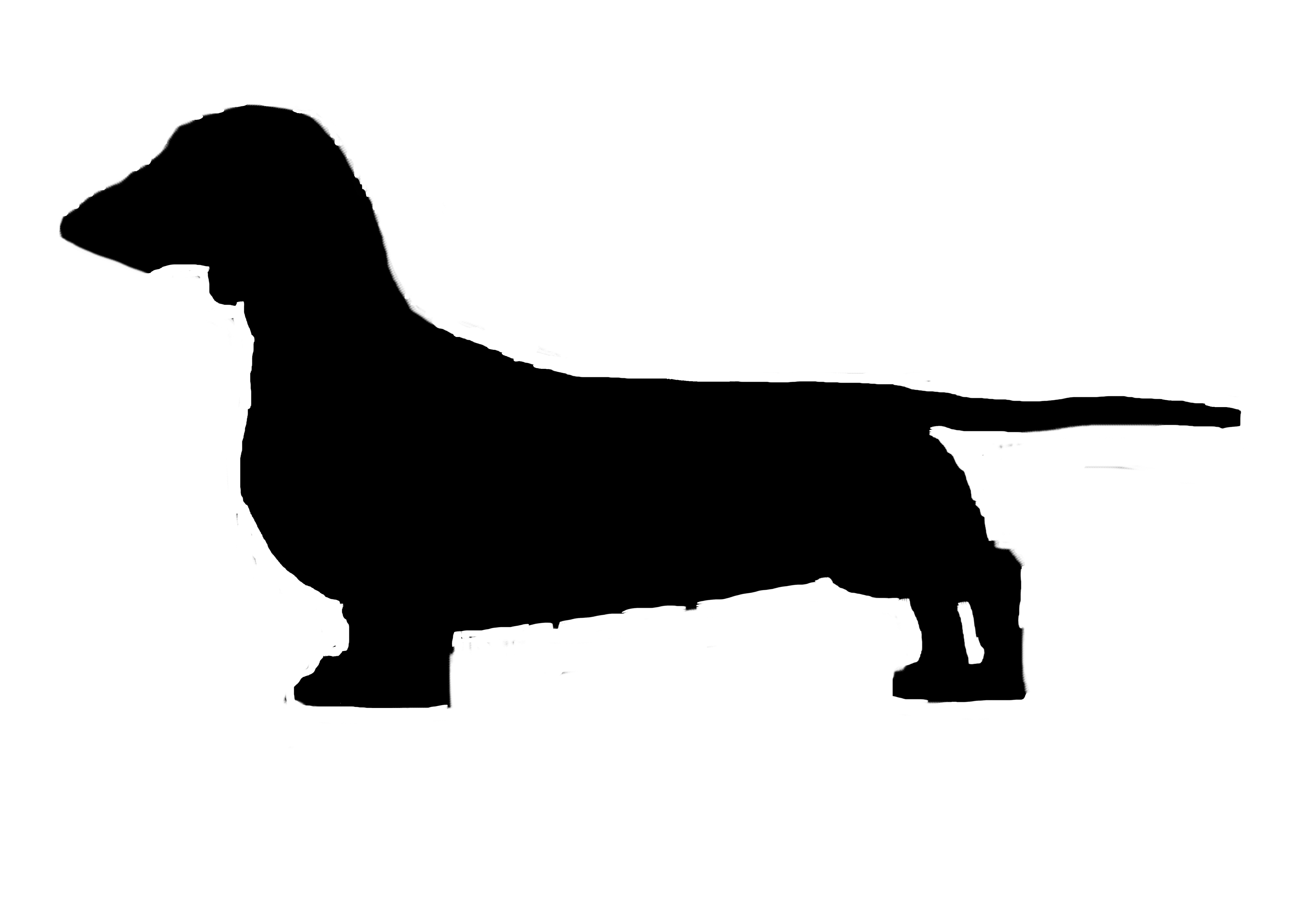 Clipart dachshund car