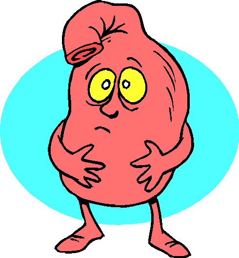 Animated stomach clipart