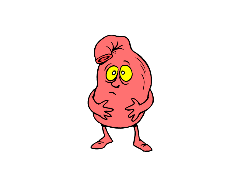 Stomach clipart