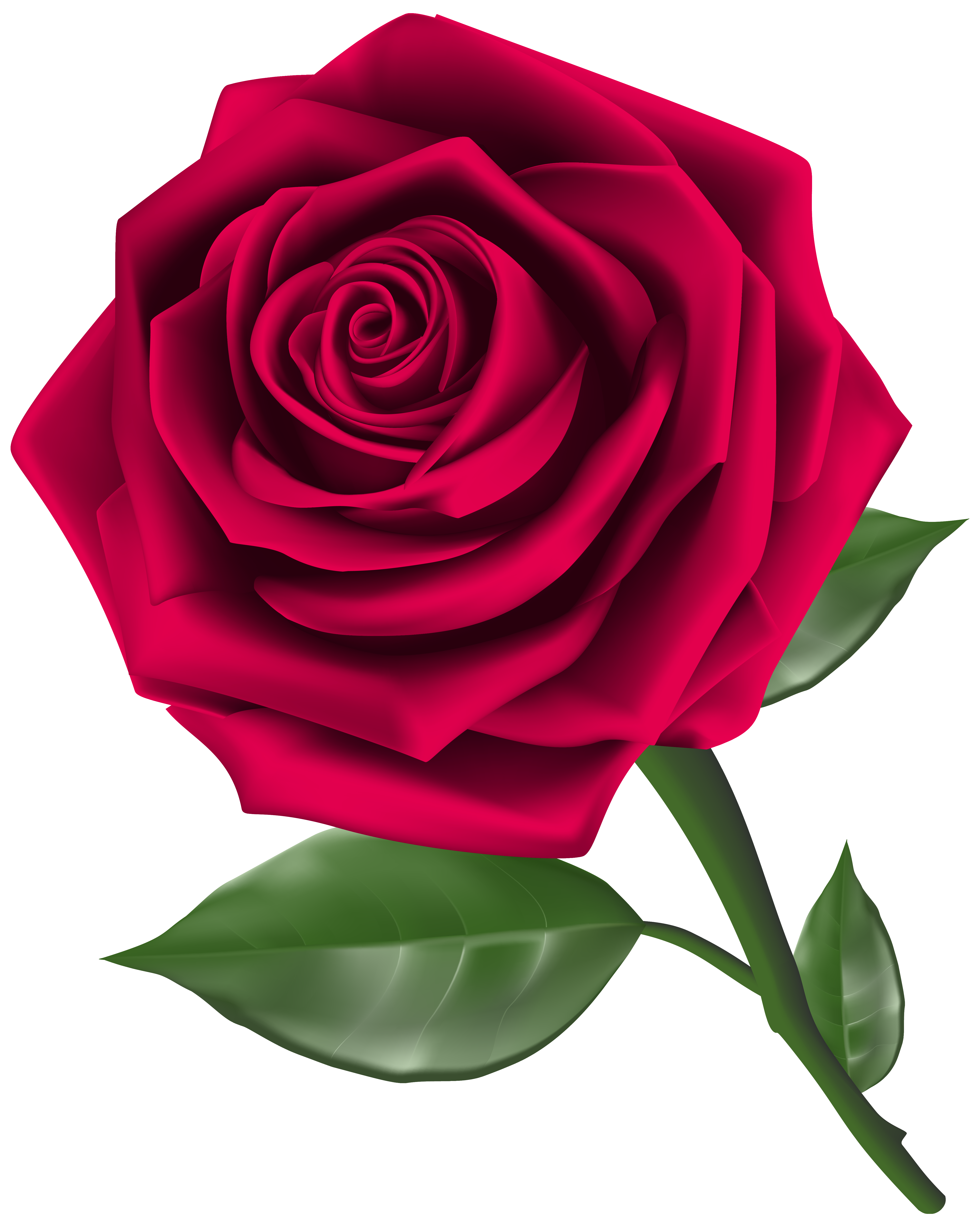 Free 3D Roses Cliparts, Download Free Clip Art, Free Clip Art on