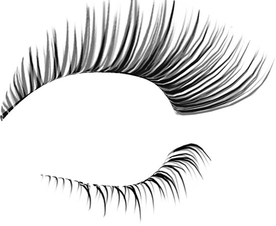 Free Lashes Cliparts, Download Free Lashes Cliparts png images, Free